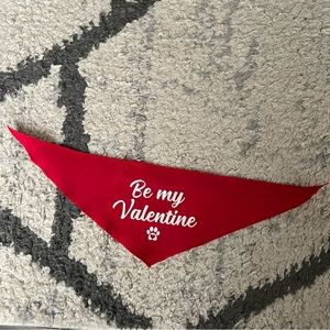 Reversible pet handkerchief